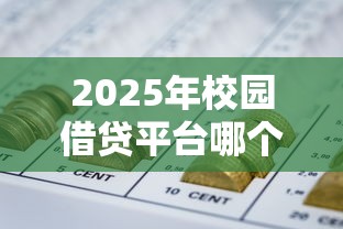 2025年校园借贷平台哪个好下款：分享5个能借到钱的网贷平台