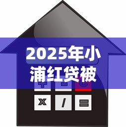 2025年小浦红贷被拒：试试这5个黑户百分百不拒的2000借款口子