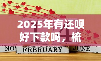 2025年有还呗好下款吗，梳理五个正规平台贷款