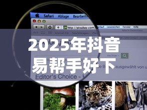 2025年抖音易帮手好下款吗，看看这五个平台贷款