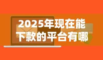 2025年现在能下款的平台有哪些软件？整理五个京东贷款平台