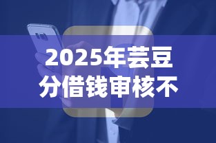 2025年芸豆分借钱审核不通过，公布5个平台公司贷款