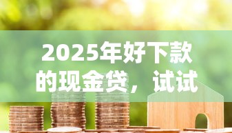 2025年好下款的现金贷，试试这五个小额贷款必下平台