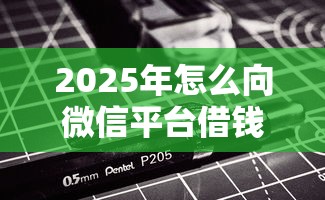2025年怎么向微信平台借钱，分享5个无视黑白的最新贷款口子