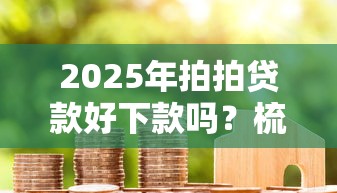 2025年拍拍贷款好下款吗？梳理五个征信是花户平台可以借钱不