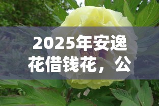 2025年安逸花借钱花，公布五个不看征信秒下款的平台