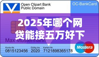 2025年哪个网贷能接五万好下款？看看这5个购物贷款平台