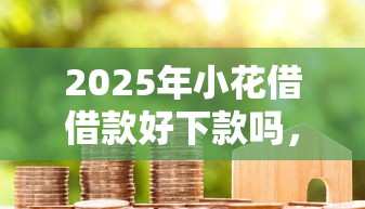 2025年小花借借款好下款吗，罗列五个小微企业贷款平台