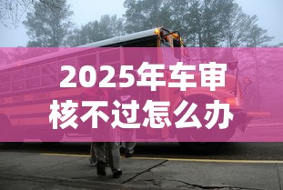2025年车审核不过怎么办：看看这5个网贷比较正规的平台