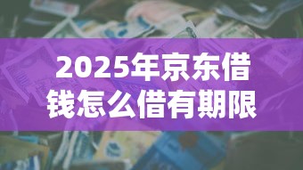 2025年京东借钱怎么借有期限吗，罗列五个快速贷款平台