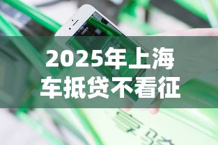 2025年上海车抵贷不看征信？分享5个网贷口子风控不严的软件
