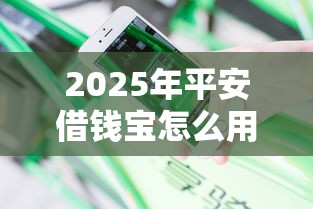 2025年平安借钱宝怎么用？分享5个17岁网贷平台