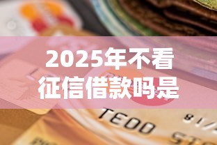 2025年不看征信借款吗是真的吗：整合5个有信用卡就能贷款的平台