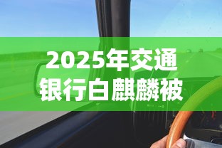 2025年交通银行白麒麟被拒：公布五个黑户借钱0门槛极速下款软件
