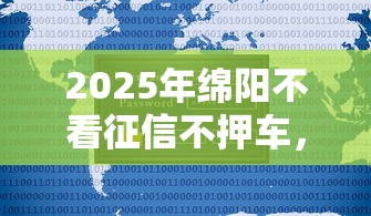 2025年绵阳不看征信不押车，公布5个网贷平台网贷怎么样