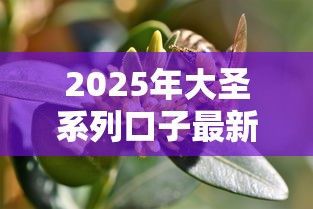 2025年大圣系列口子最新？看看这五个类似易开花的贷款平台