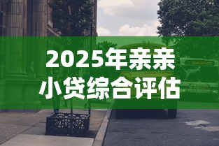 2025年亲亲小贷综合评估被拒：试试这5个能贷款的平台