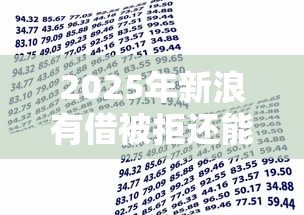 2025年新浪有借被拒还能贷款吗，试试这五个有借款平台可以借钱