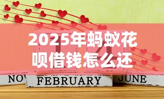 2025年蚂蚁花呗借钱怎么还：推荐五个2025好下款的网贷平台