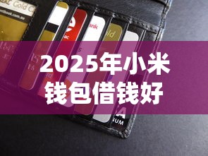 2025年小米钱包借钱好下款吗？公布五个芝麻信用439分下款的口子