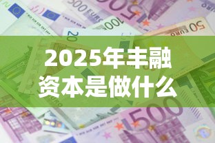 2025年丰融资本是做什么的？梳理五个抵押车贷款平台好