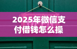 2025年微信支付借钱怎么操作？试试这五个车抵押贷款平台