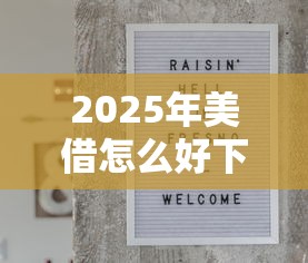 2025年美借怎么好下款?罗列5个贷款平台代理 2025年美借怎么好下款?罗列5个贷款平台代理