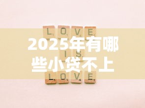 2025年有哪些小贷不上征信的？整合5个能下款的平台