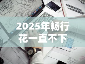 2025年畅行花一直不下款？看看这五个贷款平台不看征信,不看负债