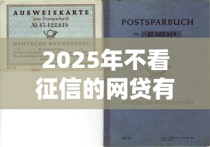 2025年不看征信的网贷有风险，罗列5个征信花必过的平台