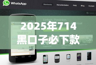 2025年714黑口子必下款app，试试这5个黑户借钱0门槛极速下款口子