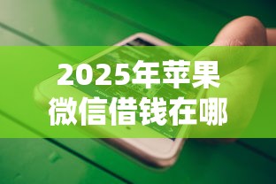 2025年苹果微信借钱在哪里借，看看这五个贷款十大平台