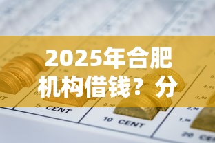 2025年合肥机构借钱？分享五个靠谱借钱的网贷平台