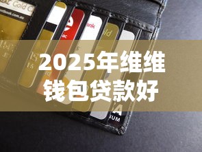 2025年维维钱包贷款好下款：梳理五个无视一切是人就下款