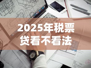 2025年税票贷看不看法人征信：看看这5个正规的借钱平台