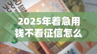 2025年着急用钱不看征信怎么办：整理五个网上贷款平台好