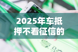 2025年车抵押不看征信的有吗：分享5个网贷最好下款的平台不看征信