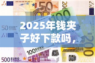 2025年钱夹子好下款吗，看看这五个购物贷款平台