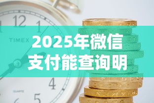 2025年微信支付能查询明细吗：公布5个贷款平台排行