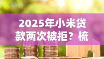 2025年小米贷款两次被拒？梳理5个21岁借钱的平台100%能借到