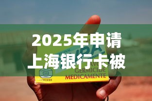 2025年申请上海银行卡被拒咋办，整合五个无视黑白100%秒下网贷app