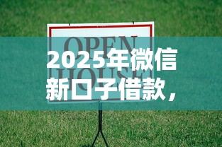 2025年微信新口子借款，整合5个哪些贷款平台是正规的