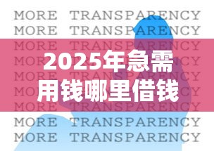2025年急需用钱哪里借钱比较好，整合5个不上征信报告的贷款口子