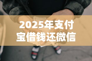 2025年支付宝借钱还微信怎么还，整合5个手机网贷平台好