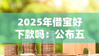 2025年借宝好下款吗：公布五个个体户贷款平台