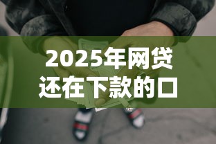 2025年网贷还在下款的口子有哪些：整理五个好口子