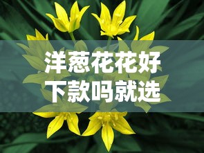 洋葱花花好下款吗就选这7个1000元可以不看征信就能下款的软件