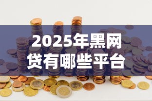 2025年黑网贷有哪些平台可以借款，梳理五个贷款平台排行榜