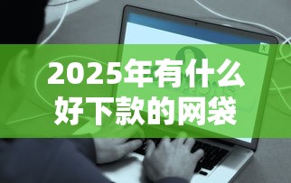 2025年有什么好下款的网袋？罗列五个容易下到款的平台