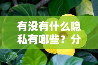 有没有什么隐私有哪些？分享10个像花薪一样能借30天的口子